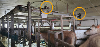 Multiple L3D Cameras installed in milking parlor
