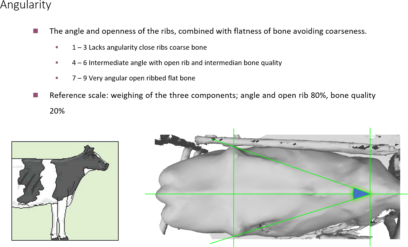 Linear measurement example 2