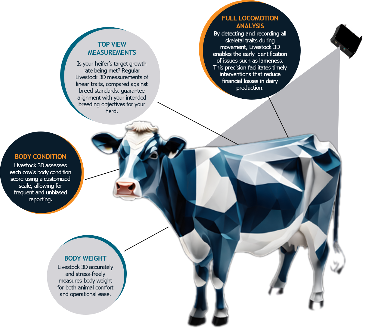 L3D Technology Overview - Body Condition, Weight, Top View Measurements, and Full Locomotion Analysis