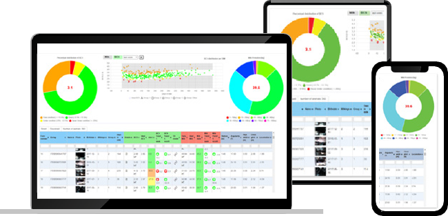 L3D Analytics Dashboard - Available on Desktop, Tablet, and Mobile